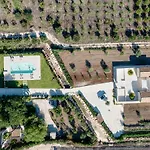 Baglio Il Gelso E L'ulivo Il Fico *