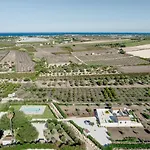 Baglio Il Gelso E L'ulivo Il Fico